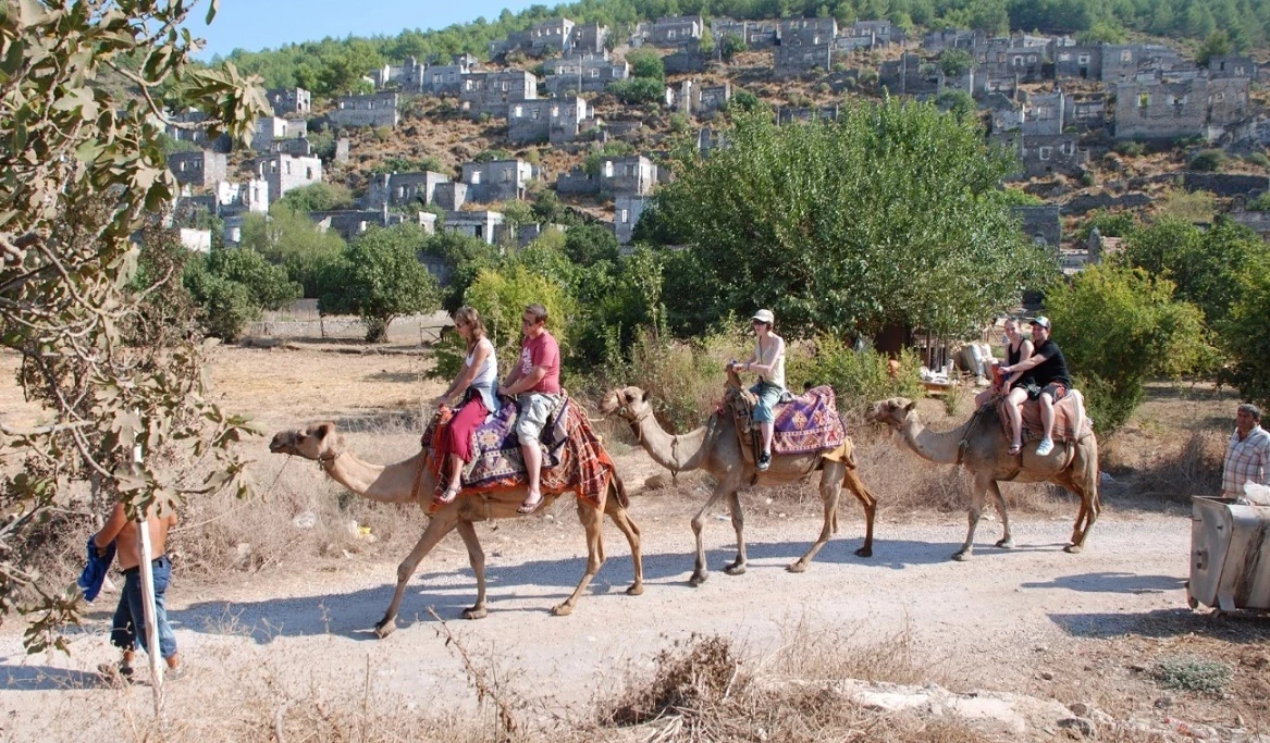 Camel Trekking — 3